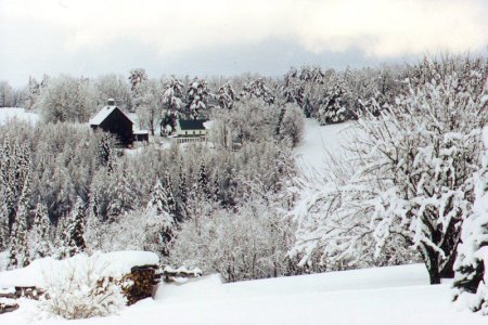 snow scene snow covered trees house and barn in distance